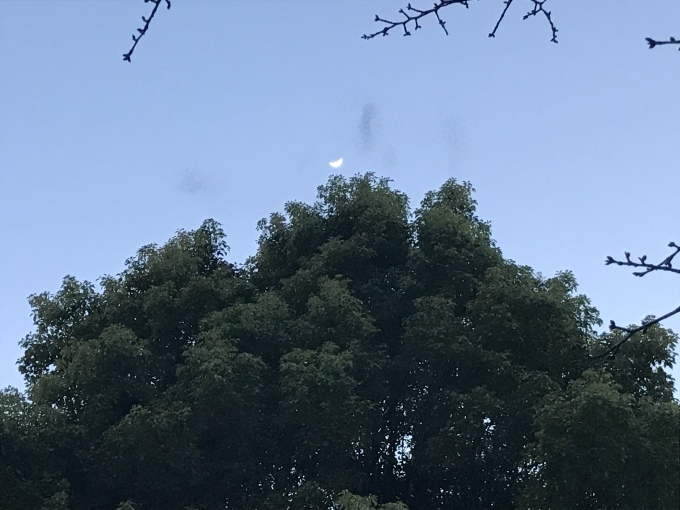 ラピスラズリの欠片を繋いで_d0101846_07134328.jpeg