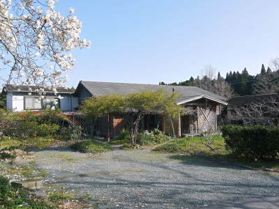 熊本県菊池市、菊池水源の山奥にある株式会社旬援隊のにも春が訪れました(2021)_a0254656_16552212.jpg