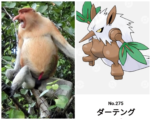 マレーシアの本物のポケモン_a0132757_18052057.jpg