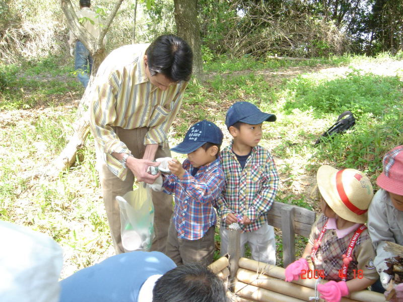 カブちゃんに会える日・・・うみべの森を育てる会(せんなん里海公園内うみべの森)_c0108460_17163951.jpg