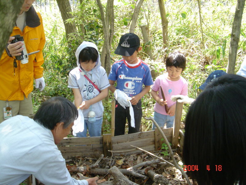 カブちゃんに会える日・・・うみべの森を育てる会(せんなん里海公園内うみべの森)_c0108460_17181642.jpg