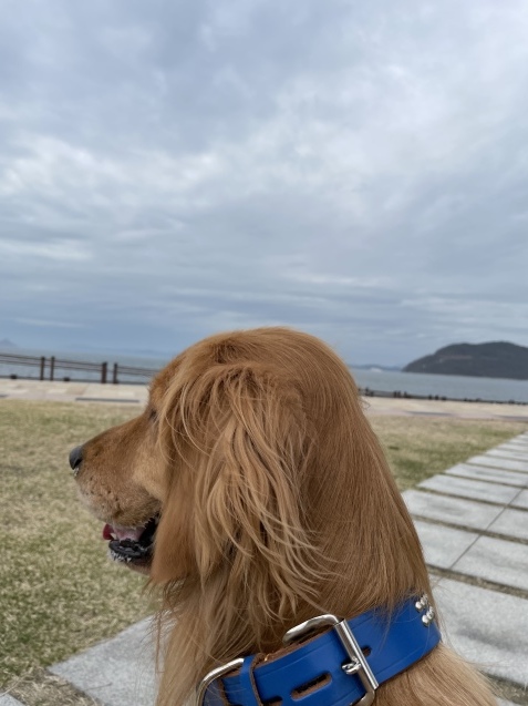 何気ない幸せ。_a0394574_23051625.jpeg