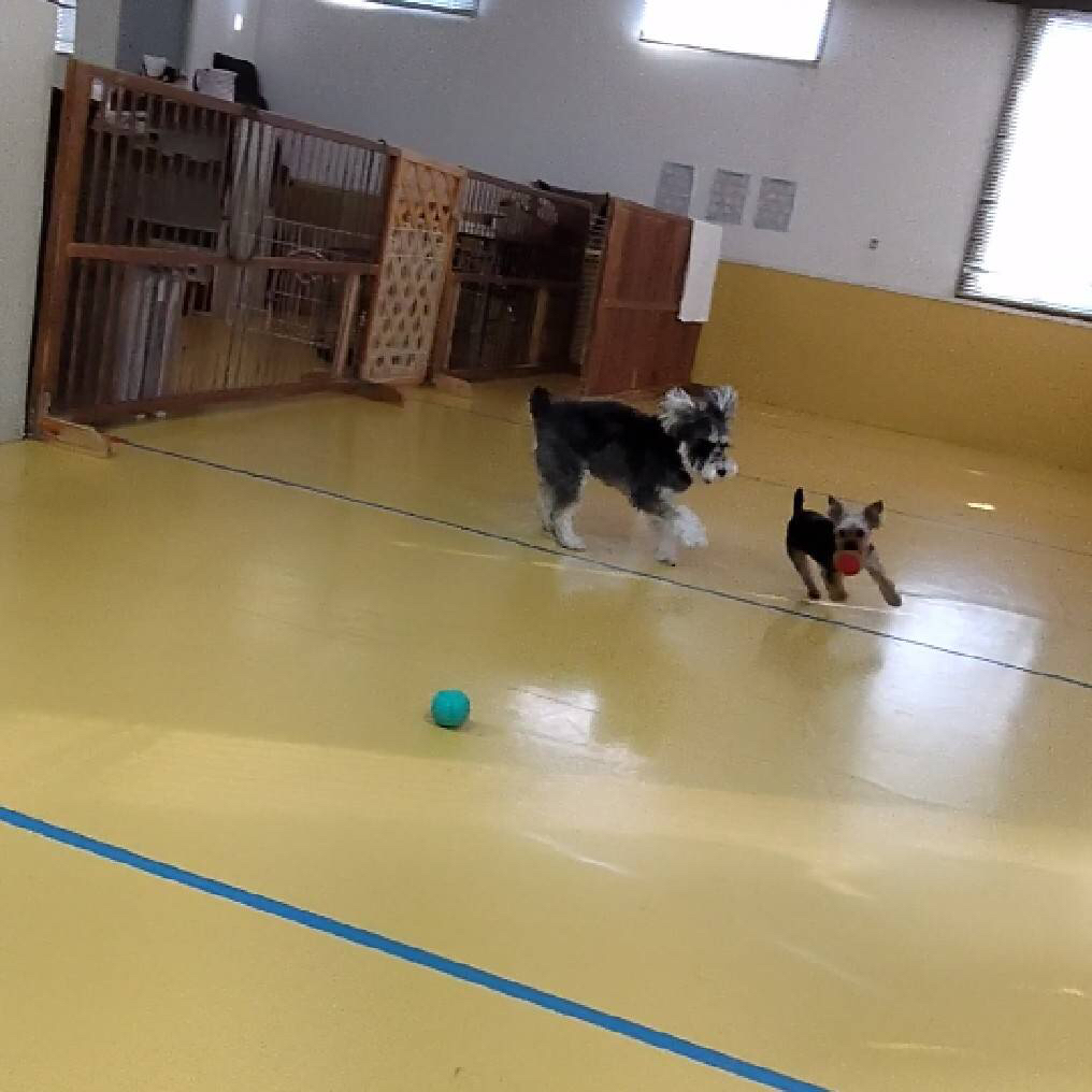 保育園ブログ(^ ^)_f0357682_23133429.jpg