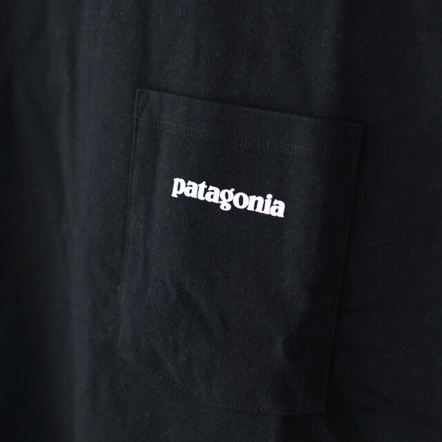 Patagonia [パタゴニア] Men\'s P-6 Logo Pocket Responsibili-Tee [38512] メンズ・P-6ロゴ・ポケット・Tシャツ・MEN\'S_f0051306_16385366.jpg