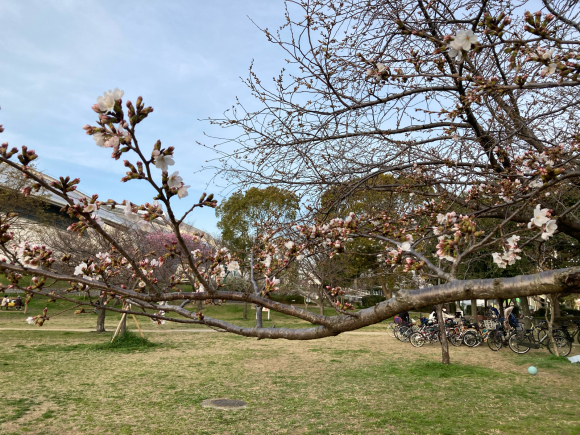 ゆっくり_a0098418_22240798.jpg