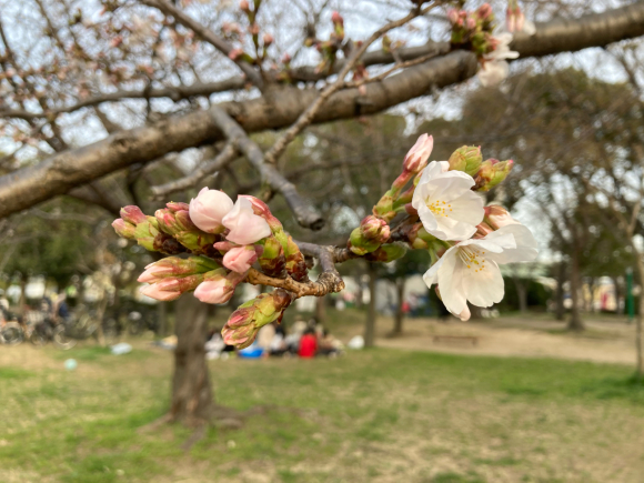 ゆっくり_a0098418_22241276.jpg