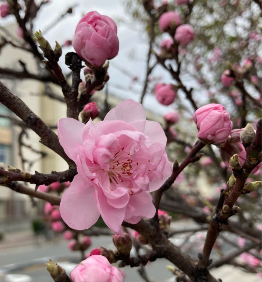 ゆっくり_a0098418_22250457.jpg