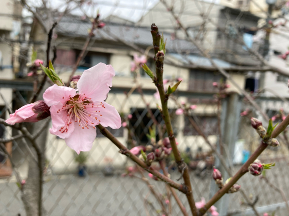 ゆっくり_a0098418_22250851.jpg