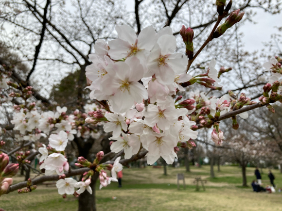 ゆっくり_a0098418_22284550.jpg