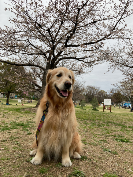 ゆっくり_a0098418_22285215.jpg