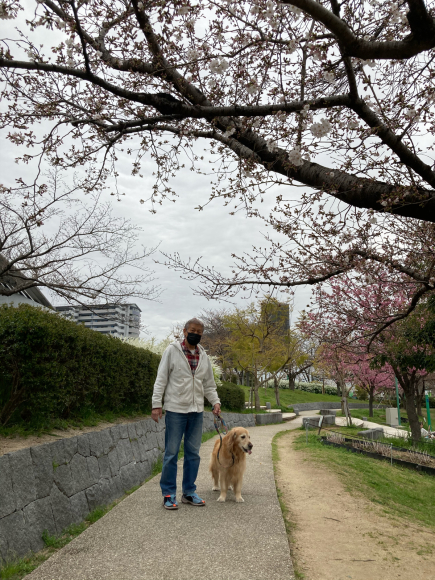 ゆっくり_a0098418_22285886.jpg