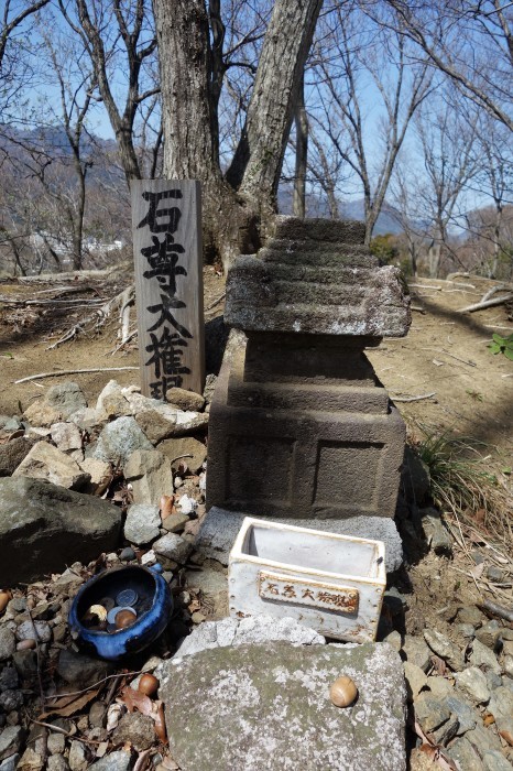 ■散策【県立七沢森林公園P-2】_b0033423_00520991.jpg