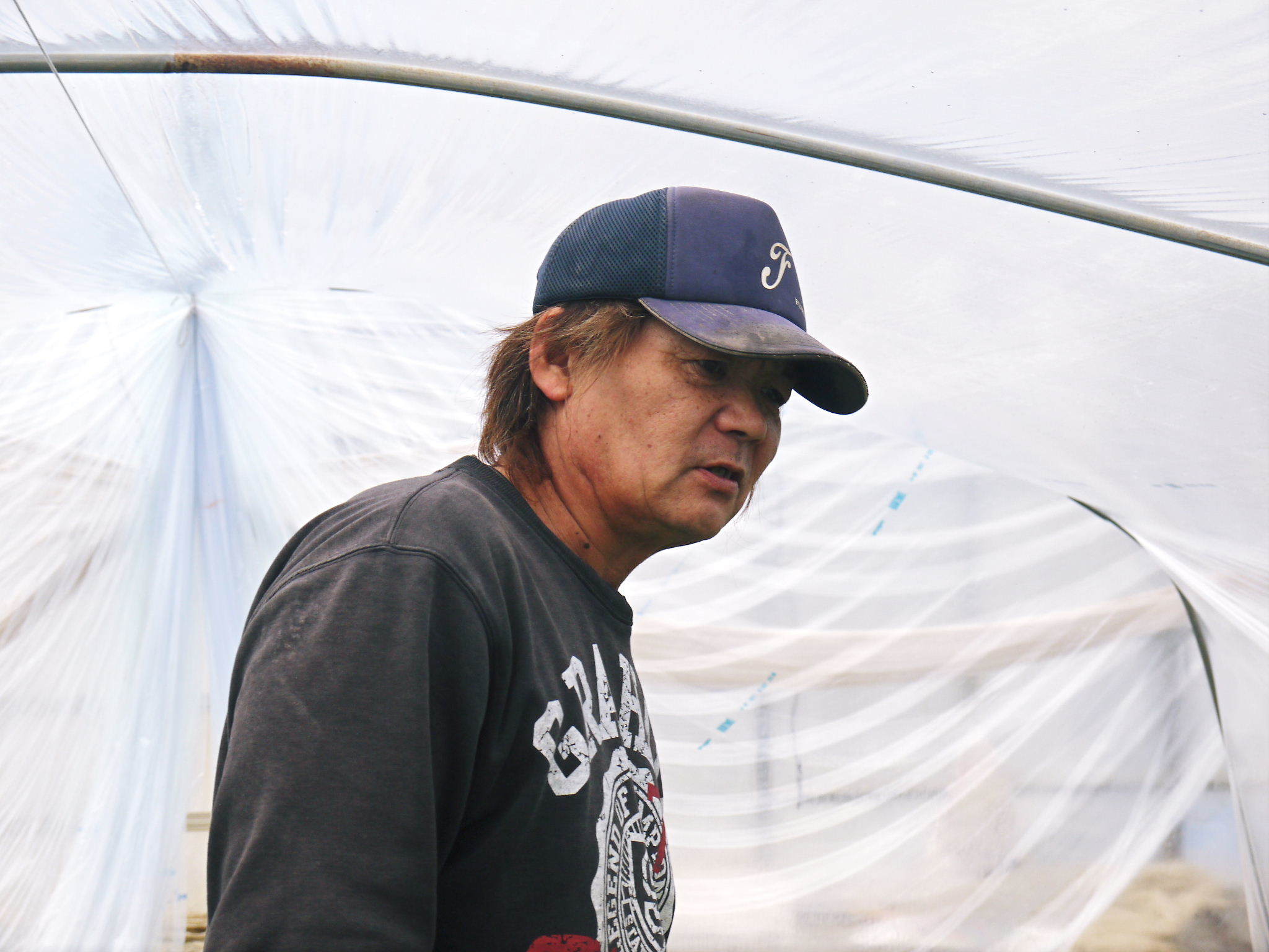 夢スイカ 令和3年の熊本産小玉スイカ「ひとりじめHM」明日12時より先行予約受付をスタートです!!_a0254656_14580380.jpg
