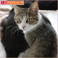 恥ずかしいお知らせ_a0389088_11012609.jpg