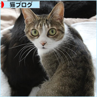 恥ずかしいお知らせ_a0389088_11031069.jpg