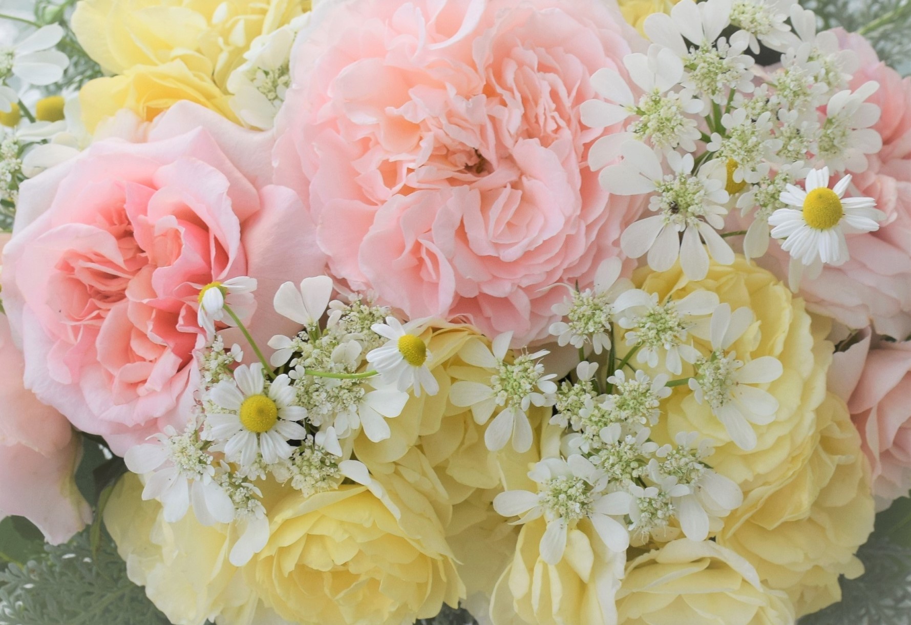 4月から始まります講座のお知らせ バラとハーブのある暮らし Salon De Roses 4月から始まります講座のお知らせ バラとハーブのある暮らし Salon De Roses