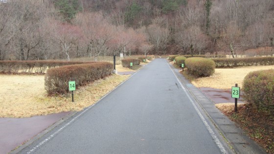 好調!キャンプ場。_b0219993_17073060.jpg
