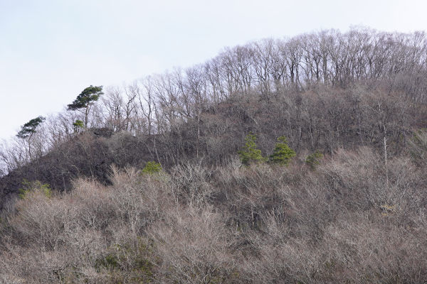 休日はアンタイム 点描3 休日はアンタイム 点描3