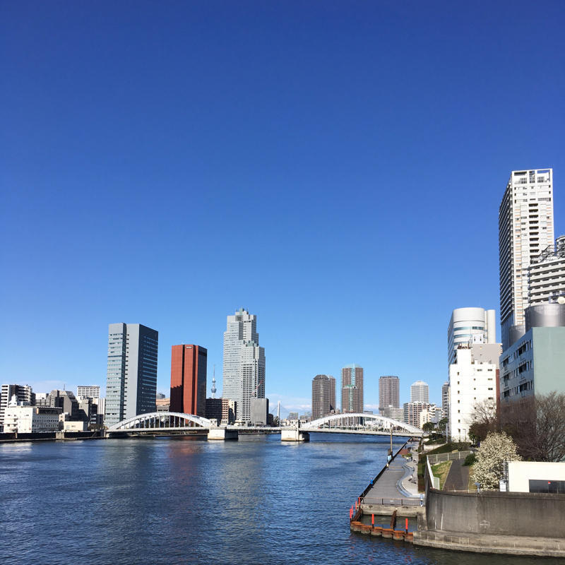 東京マラソンのかわりにバーチャルでハーフマラソン_c0060143_20250134.jpg