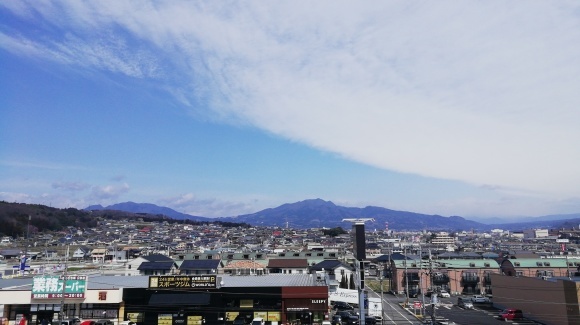 金井牧場 木曽駒 花探し_c0212083_18291702.jpg