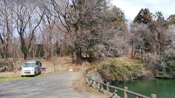 金井牧場 木曽駒 花探し_c0212083_18415119.jpg