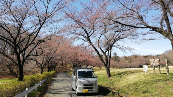 金井牧場 木曽駒 花探し_c0212083_18424744.jpg