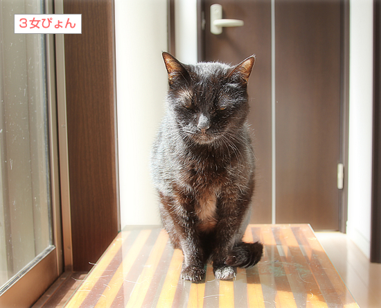 おねんね_a0389088_15032141.jpg