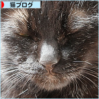 おねんね_a0389088_15032157.jpg