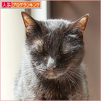 おねんね_a0389088_15032191.jpg