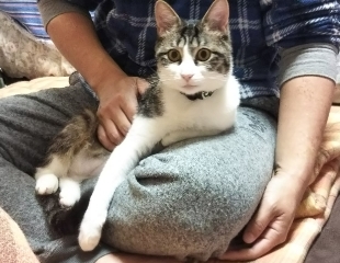 今日のみやこ。きょんさまの初彼岸。_a0105396_02274355.jpg