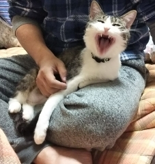 今日のみやこ。きょんさまの初彼岸。_a0105396_02275468.jpg