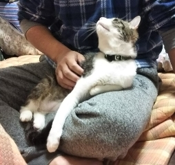 今日のみやこ。きょんさまの初彼岸。_a0105396_02282047.jpg