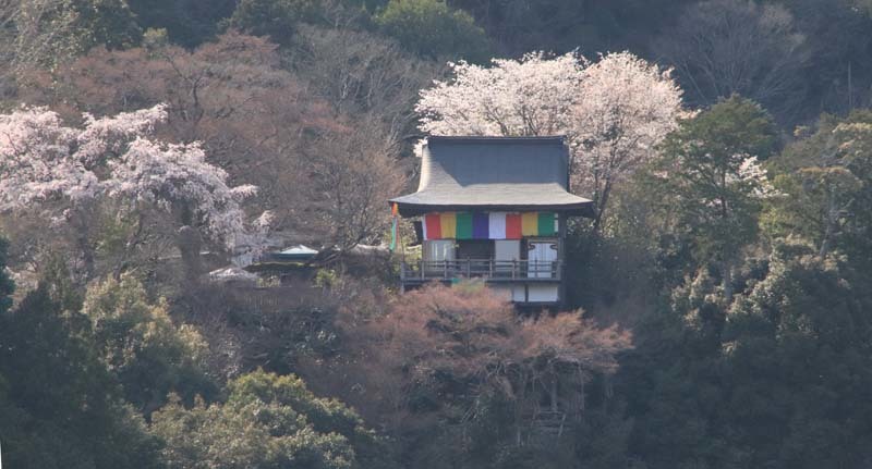 桜満開　嵐山と亀山公園_e0048413_20411021.jpg