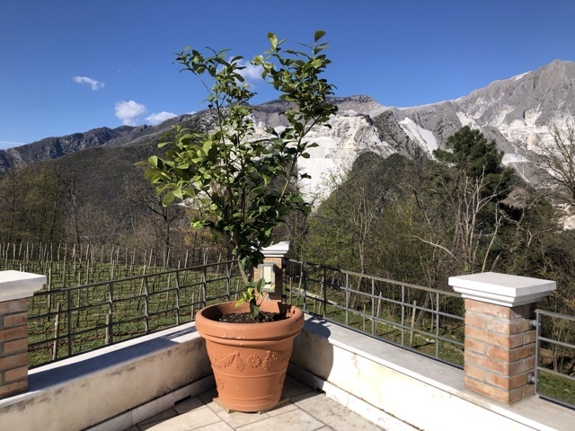 I Giardini di Marzo〜三月の庭_d0136540_04193494.jpeg