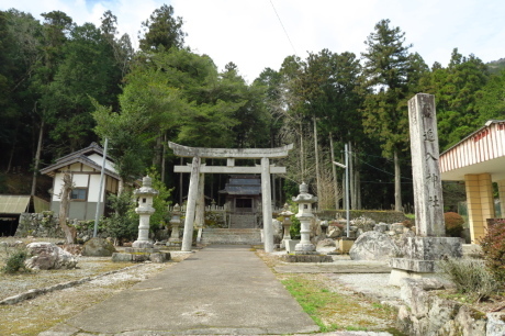 丹波篠山『金山』と春の妖精_c0218841_14082831.jpg