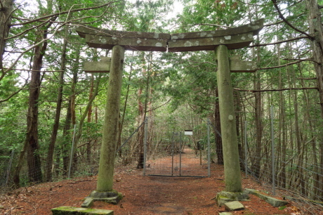 丹波篠山『金山』と春の妖精_c0218841_14085695.jpg