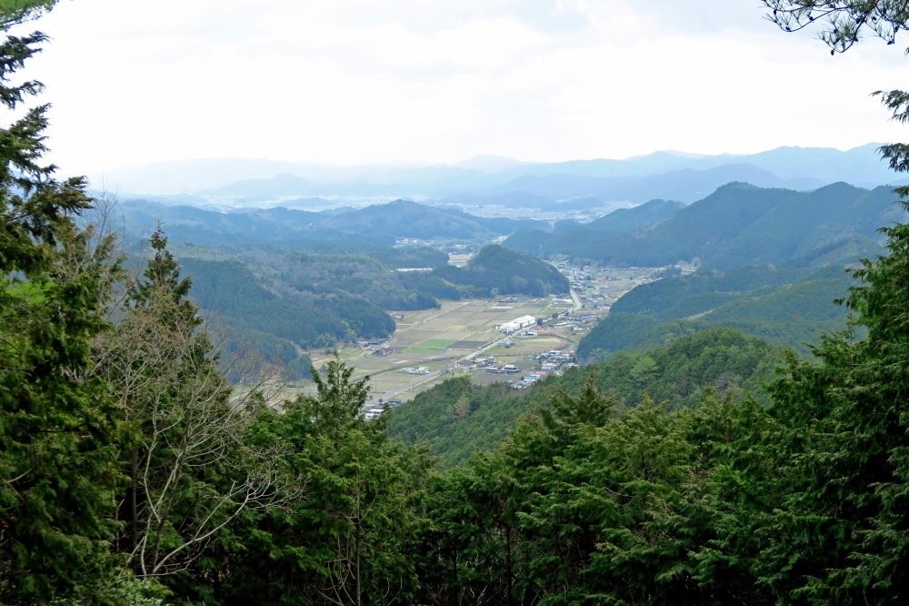 丹波篠山『金山』と春の妖精_c0218841_14090762.jpg