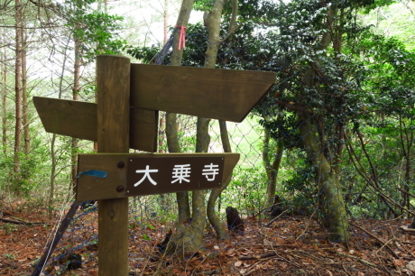 丹波篠山『金山』と春の妖精_c0218841_14091806.jpg