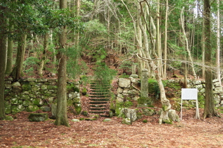 丹波篠山『金山』と春の妖精_c0218841_14094992.jpg