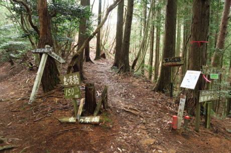 丹波篠山『金山』と春の妖精_c0218841_14100774.jpg