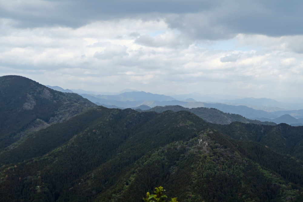 丹波篠山『金山』と春の妖精_c0218841_14103205.jpg