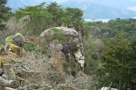 丹波篠山『金山』と春の妖精_c0218841_14105633.jpg