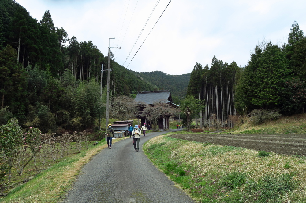 丹波篠山『金山』と春の妖精_c0218841_14135207.jpg