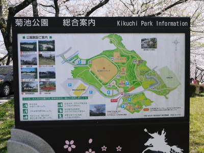 菊池公園、菊池神社の桜photoコレクション 2021　ビューポイントも紹介！ _a0254656_17581450.jpg