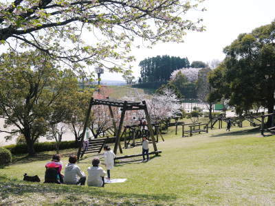 菊池公園、菊池神社の桜photoコレクション 2021　ビューポイントも紹介！ _a0254656_18141153.jpg