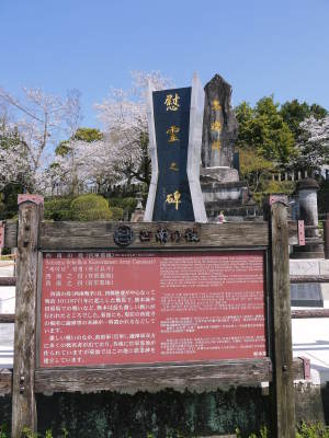 菊池公園、菊池神社の桜photoコレクション 2021 ビューポイントも紹介! _a0254656_18215613.jpg