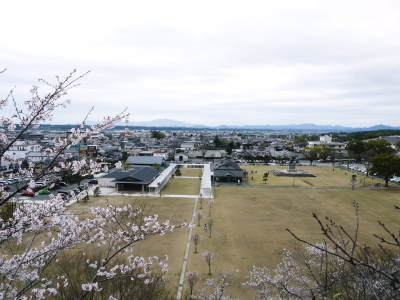 菊池公園、菊池神社の桜photoコレクション 2021　ビューポイントも紹介！ _a0254656_18294479.jpg