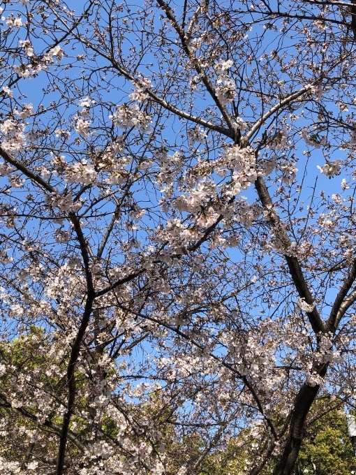 仕事は気合いです_b0100062_19204032.jpeg