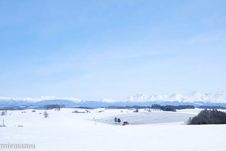 融雪模様の新栄の丘から~3月の美瑛_d0340565_19481731.jpg