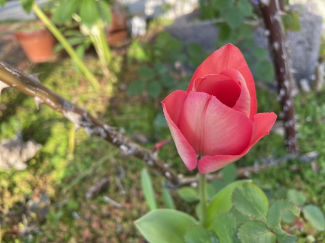 心の余裕。_a0394574_21491657.jpeg